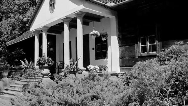 Janko Muzykant - streszczenie смотреть онлайн