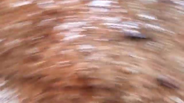 Аномальная погода град размером с вишню в Черемхово Иркутская область смотреть онлайн