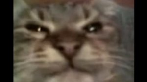 Кит ты маму мав? "Кіт ти маму мав?" Remix 1 час. 50 Cent - Candy Shop cover