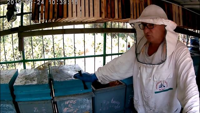 Как сделать отводки пчёл.Сроки,метод создания.Быстрое расширение пасеки. смотреть онлайн