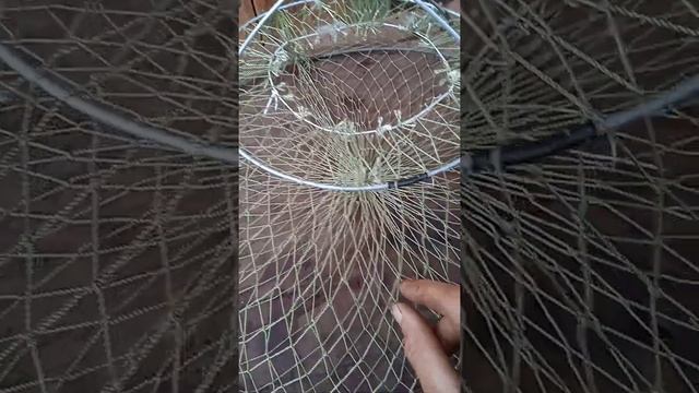 @чернильница , снасть просто супер#раки #ручнаяработа #ловить рака чернильницей#