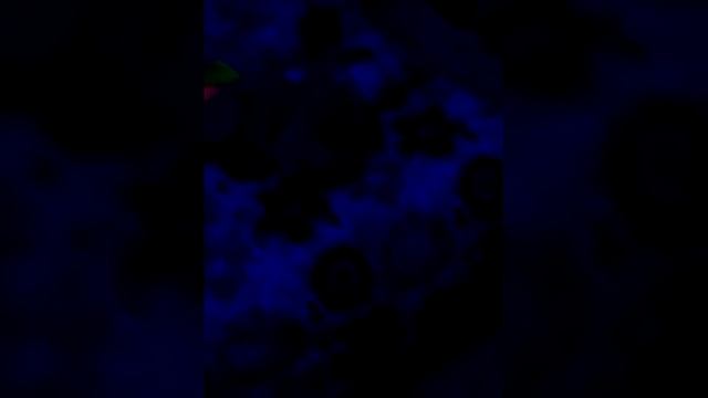 Туса у соседей смотреть онлайн