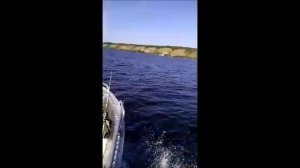 лодка север 380