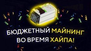 Бюджетный МАЙНИНГ на ASIC-ах во время ХАЙПА- цены, доходность, окупаемость