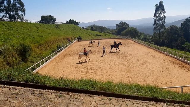 Primeira aula com o Exótico o cavalo surtado смотреть онлайн