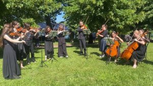 "Серенада" из цикла "Лебединая песня". Ф. Шуберт