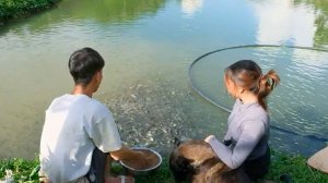 Ферма Санг Ви/Кормим 1000 рыб. Огородные дела. 04.08.2024.