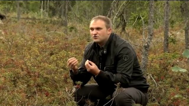 Ягоды Карелии Александр Самохвалов о воронике