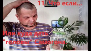 11. Что если...Или куда деть головы самогона?