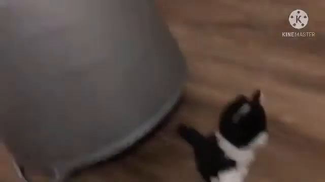 Furry Friends S1 EP 18 Three little Pigs смотреть онлайн