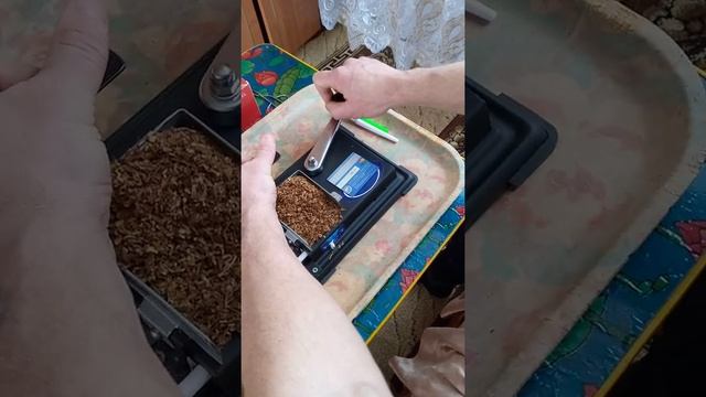 14 февраля 2022 г. смотреть онлайн