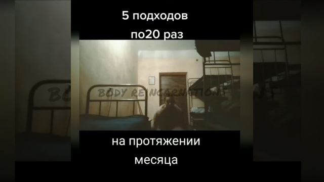 #спорт #отжимания #цель 100 отжиманий в день , результат в в следующем месяце! смотреть онлайн