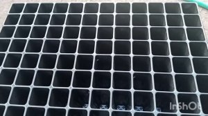 Лучший вариант грунта для рассады хвои. Обзор кассеты 96 (ель)