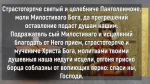 30 СЕКУНД ПРЯМО СЕЙЧАС ВЫЛЕЧАТ ТЕБЯ ОТ ЛЮБОЙ БОЛЕЗНИ! Молитва Пантелеймону Целителю!