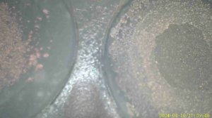 Эндоскопия 1.8 TSI CDAB - ДО использования SL208