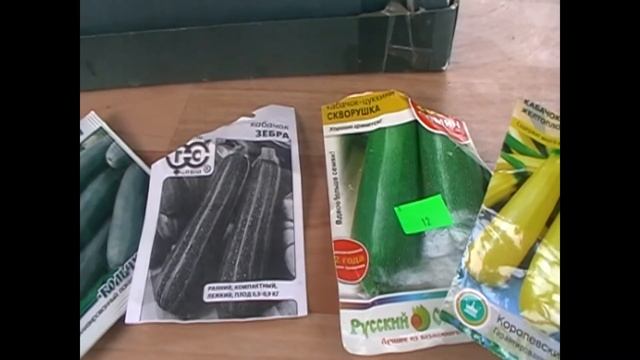 Посадка тыквы и выбор сортов! смотреть онлайн