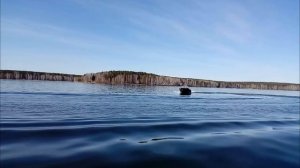 Катер "Север 470" на воде