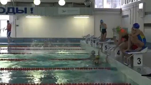Первенство области по плаванию впервые — в Старом Осколе смотреть онлайн