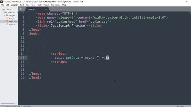 javascript Async Await Function
