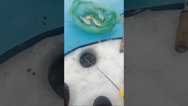 Зимняя Рыбалка 2019 смотреть онлайн