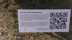 КУДА СХОДИТЬ В ПИТЕРЕ. Лучший пеший маршрут по Питеру. Достопримечательности Питера за один день.