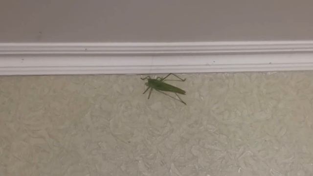 Харьков Салтовка 7 июля 2023 года Доброе Утро!!! смотреть онлайн