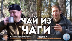 Чага, пьем чай с Tactical+