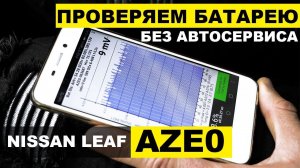 NISSAN Leaf: собрался покупать?СМОТРИ!Как подключить LeafSpyсколько едет на 1 заряде