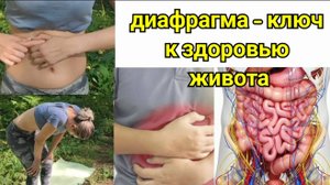 Кишечник и половые органы деградируют, мучает стресс? Освободите 3 отверстия в диафрагме