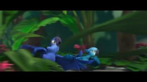 Голубчик знакомится с Жемчужинкой. Рио (2011) год