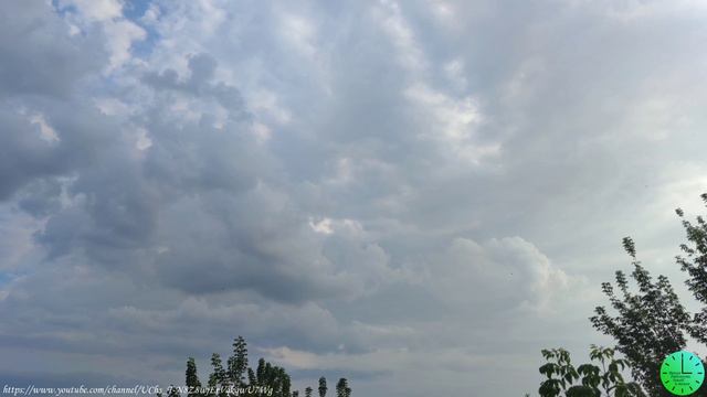 Вечернее  пение птиц и сверчков для крепкого и здорового сна/Звуки природы/Sounds of nature/Relax
