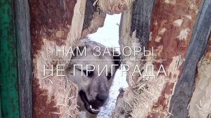 Пряник из «Лесного дома «С Вами кинолог Наталья Севостьянова