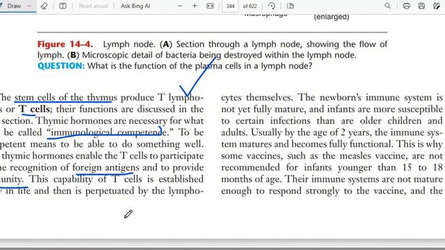 LYMPHATIC SYSTEM P2 смотреть онлайн