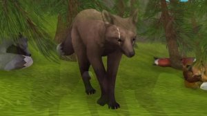 Shut Eye | CLOSED Wild Craft MAP | 18 parts