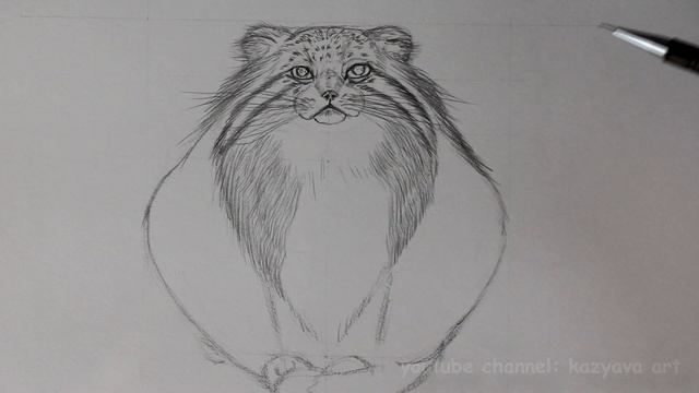Как нарисовать шерсть МАНУЛУ карандашом. Часть 2.