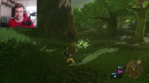 Все Корокские Семечки // Великое Плато // The Legend of Zelda