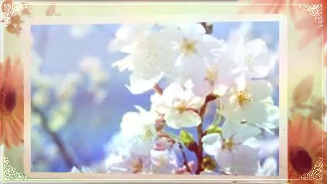 Поздравление с 8 марта для любимой доченьки смотреть онлайн