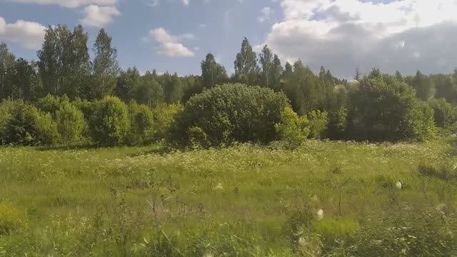 Летние дороги.