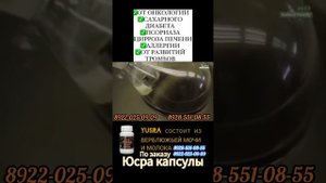 Пятигорск юсра капсулы состав молоко и моча верблюжья капсулах от различных заболеваний