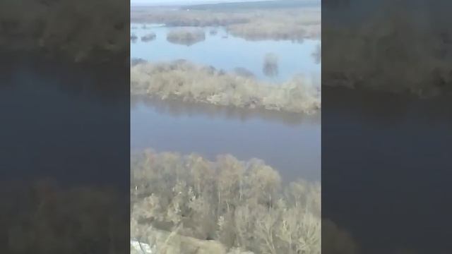 Разлив реки Дон. В районе с. Коротояк Воронежской области.