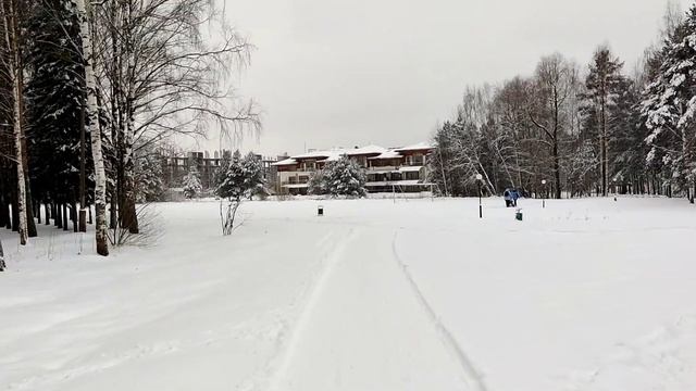 Яхонтовый Лес. Яхонты Ногинск. Декабрь 2021.