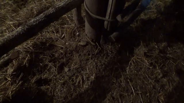 У коровы опухоль на языке и шатаются зубы. Обзор сарая. смотреть онлайн