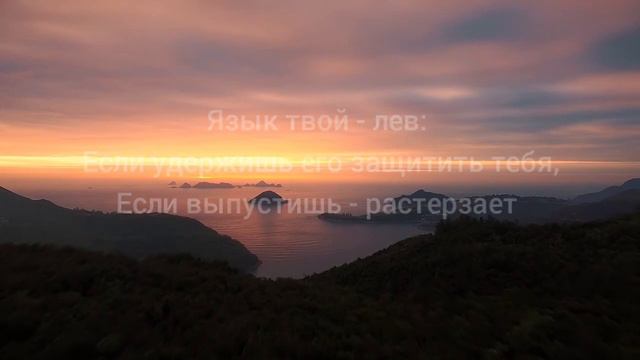 МУДРЫЕ СЛОВА! Цитаты афоризмы и интересные высказывания от ВЕЛИКИХ ЛЮДЕЙ!