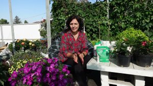 топ 10 препаратов из нашей аптечки для цветов.