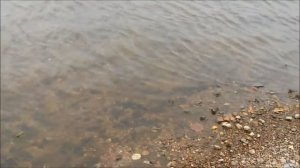 Художник Владимир Пентюх  на этюдах