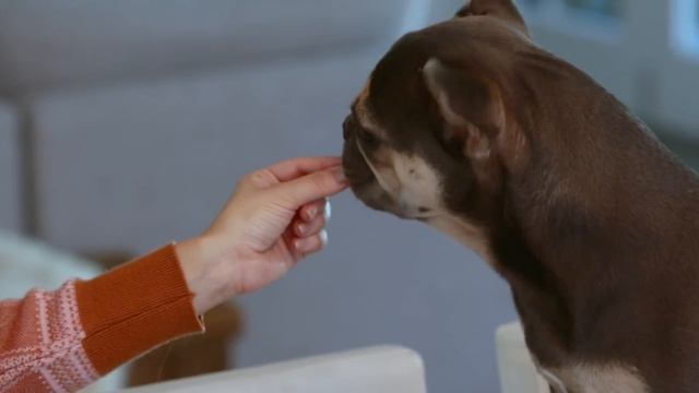 The PERFECT Banana Bread Recipe - Baking Basics смотреть онлайн