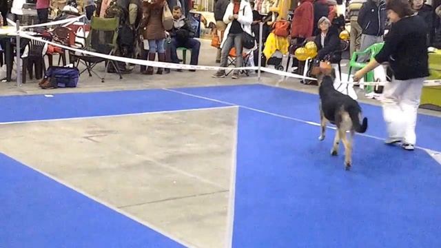 ВЕО Хрустальный кубок Украины 2013 смотреть онлайн