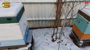 пчеловодство, устанавливаю козырьки на летки и результат окраски ульев ППУ
