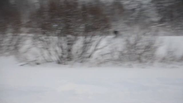 Снегоход Arctic Cat Bircat 570XT