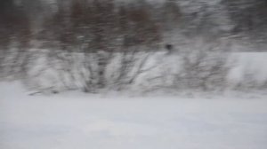 Снегоход Arctic Cat Bircat 570XT